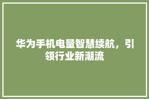 华为手机电量智慧续航，引领行业新潮流 SEO关键词