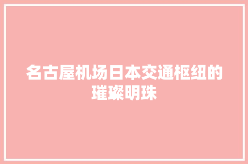名古屋机场日本交通枢纽的璀璨明珠