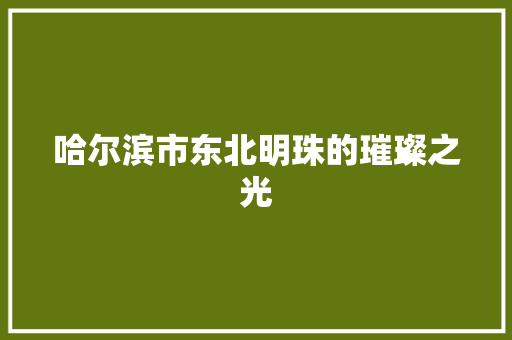 哈尔滨市东北明珠的璀璨之光