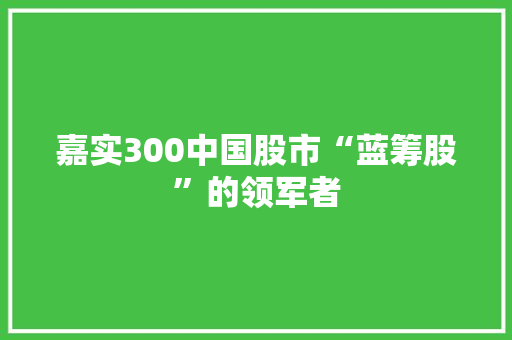 嘉实300中国股市“蓝筹股”的领军者