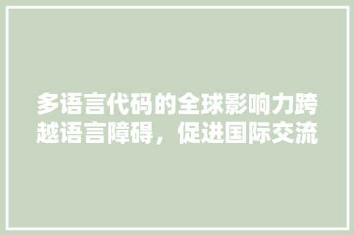 多语言代码的全球影响力跨越语言障碍，促进国际交流与合作 网站建设公司