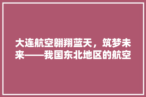 大连航空翱翔蓝天，筑梦未来——我国东北地区的航空明珠