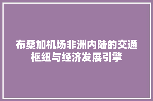 布桑加机场非洲内陆的交通枢纽与经济发展引擎 神马SEO