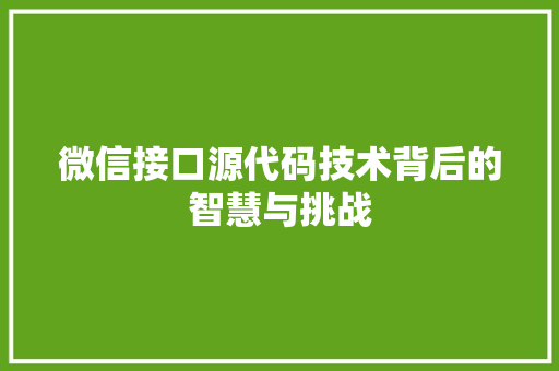 微信接口源代码技术背后的智慧与挑战 网站建设公司