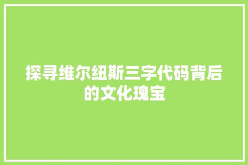 探寻维尔纽斯三字代码背后的文化瑰宝 网站建设公司