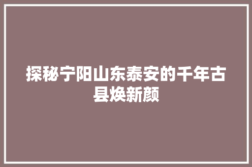 探秘宁阳山东泰安的千年古县焕新颜 搜狗SEO