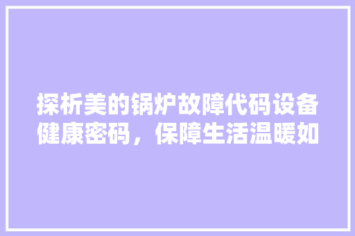 探析美的锅炉故障代码设备健康密码，保障生活温暖如春