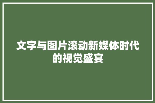 文字与图片滚动新媒体时代的视觉盛宴 SEO关键词