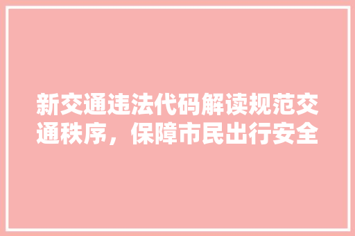 新交通违法代码解读规范交通秩序，保障市民出行安全