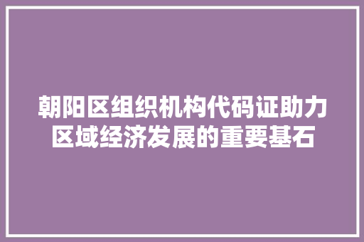 朝阳区组织机构代码证助力区域经济发展的重要基石