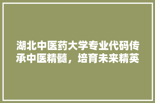 湖北中医药大学专业代码传承中医精髓，培育未来精英 网站建设公司