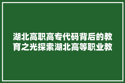 湖北高职高专代码背后的教育之光探索湖北高等职业教育发展之路