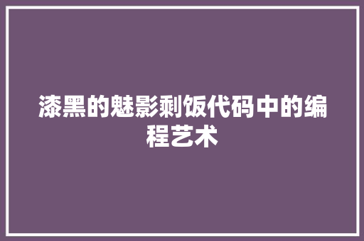 漆黑的魅影剩饭代码中的编程艺术 网站建设公司