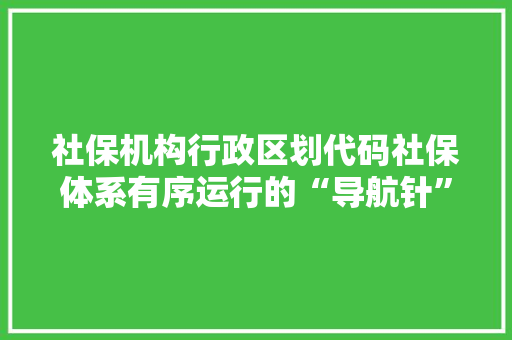 社保机构行政区划代码社保体系有序运行的“导航针”