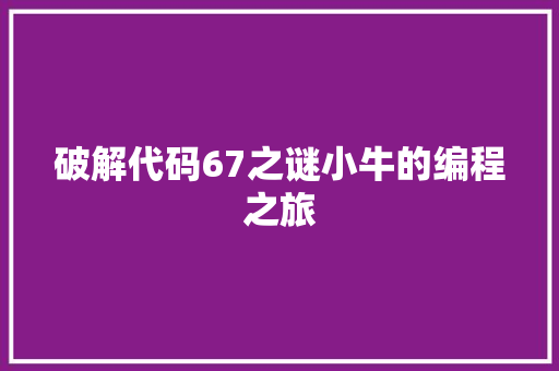破解代码67之谜小牛的编程之旅 百度SEO