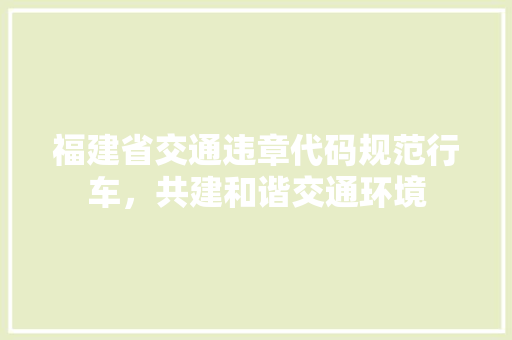 福建省交通违章代码规范行车，共建和谐交通环境