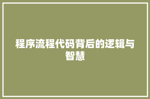 程序流程代码背后的逻辑与智慧