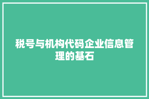 税号与机构代码企业信息管理的基石