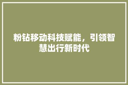 粉钻移动科技赋能，引领智慧出行新时代 SEO关键词