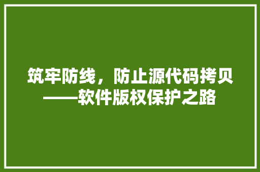 筑牢防线，防止源代码拷贝——软件版权保护之路