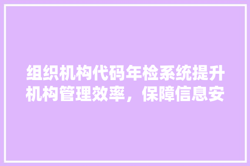 组织机构代码年检系统提升机构管理效率，保障信息安全的创新举措 SEO关键词