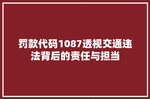 罚款代码1087透视交通违法背后的责任与担当 网站建设公司