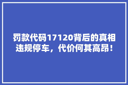 罚款代码17120背后的真相违规停车，代价何其高昂！ 百度SEO