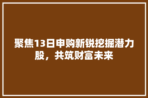 聚焦13日申购新锐挖掘潜力股，共筑财富未来 百度SEO
