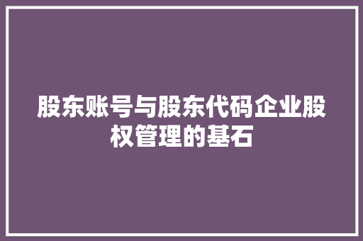 股东账号与股东代码企业股权管理的基石 百度SEO