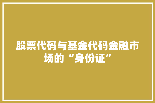 股票代码与基金代码金融市场的“身份证” 必应SEO