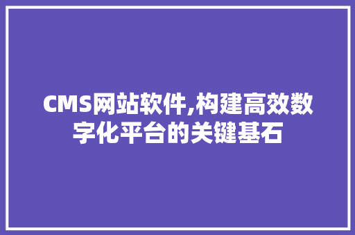 CMS网站软件,构建高效数字化平台的关键基石 SEO关键词