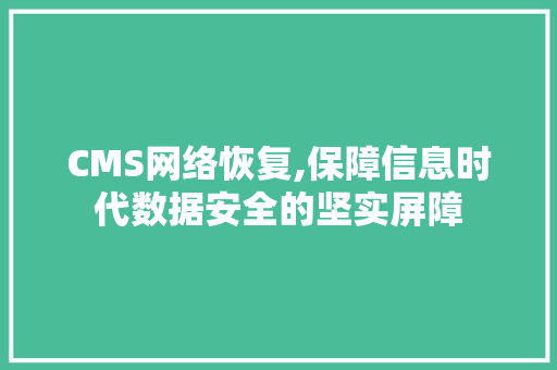 CMS网络恢复,保障信息时代数据安全的坚实屏障 网站建设公司