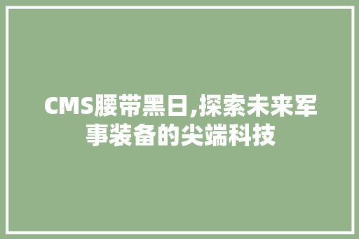CMS腰带黑日,探索未来军事装备的尖端科技 神马SEO