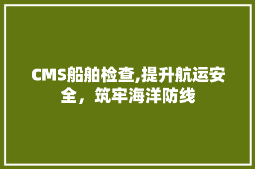 CMS船舶检查,提升航运安全，筑牢海洋防线
