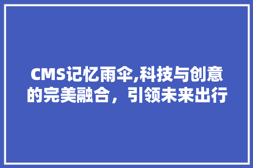 CMS记忆雨伞,科技与创意的完美融合，引领未来出行新风尚 SEO关键词