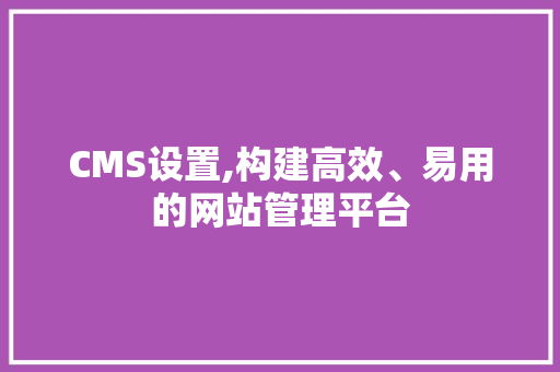 CMS设置,构建高效、易用的网站管理平台 必应SEO