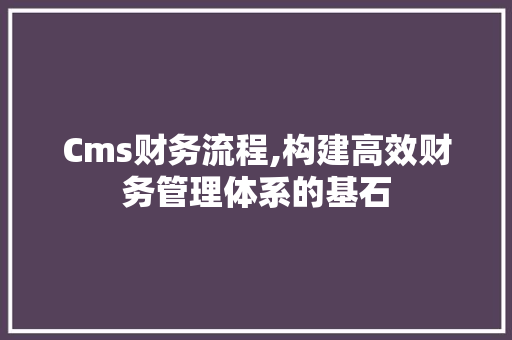Cms财务流程,构建高效财务管理体系的基石 搜狗SEO