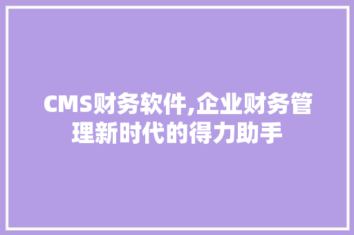 CMS财务软件,企业财务管理新时代的得力助手 网站建设公司