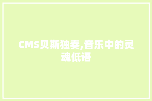 CMS贝斯独奏,音乐中的灵魂低语 网站建设公司
