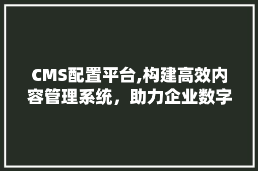 CMS配置平台,构建高效内容管理系统，助力企业数字化转型 百度SEO