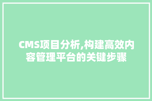 CMS项目分析,构建高效内容管理平台的关键步骤 必应SEO