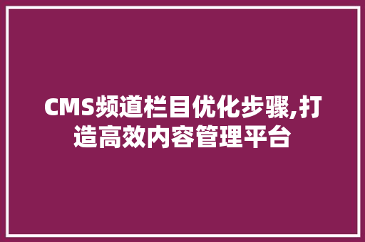 CMS频道栏目优化步骤,打造高效内容管理平台 网站建设公司