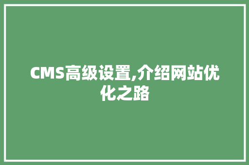 CMS高级设置,介绍网站优化之路 必应SEO