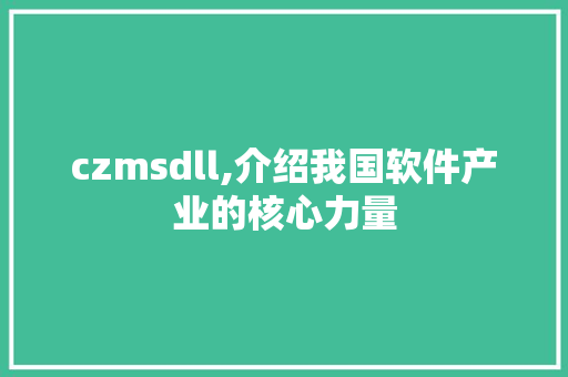czmsdll,介绍我国软件产业的核心力量 网站建设公司