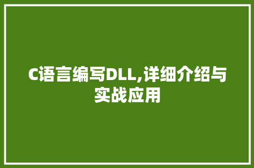 C语言编写DLL,详细介绍与实战应用 必应SEO