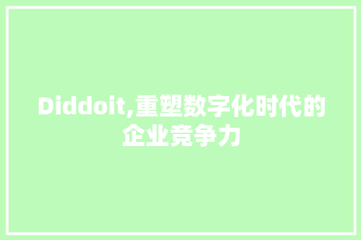 Diddoit,重塑数字化时代的企业竞争力 网站建设公司