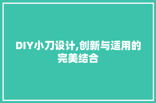 DIY小刀设计,创新与适用的完美结合 神马SEO