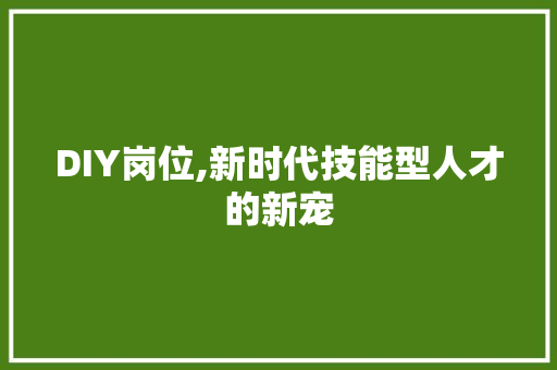 DIY岗位,新时代技能型人才的新宠 神马SEO