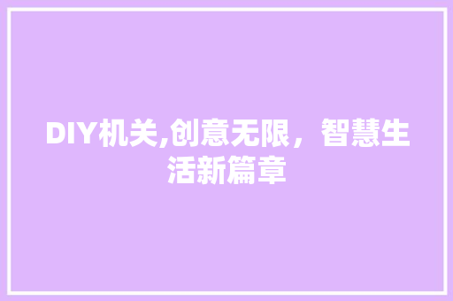 DIY机关,创意无限，智慧生活新篇章