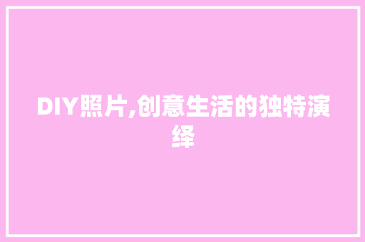 DIY照片,创意生活的独特演绎 网站建设公司